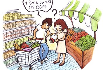 assurance decennale obligatoire ou non