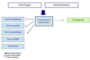 assurance professionnelle automobile