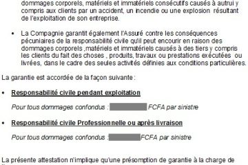 assurance responsabilite civile decennale