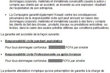 attestation d assurance de responsabilité civile
