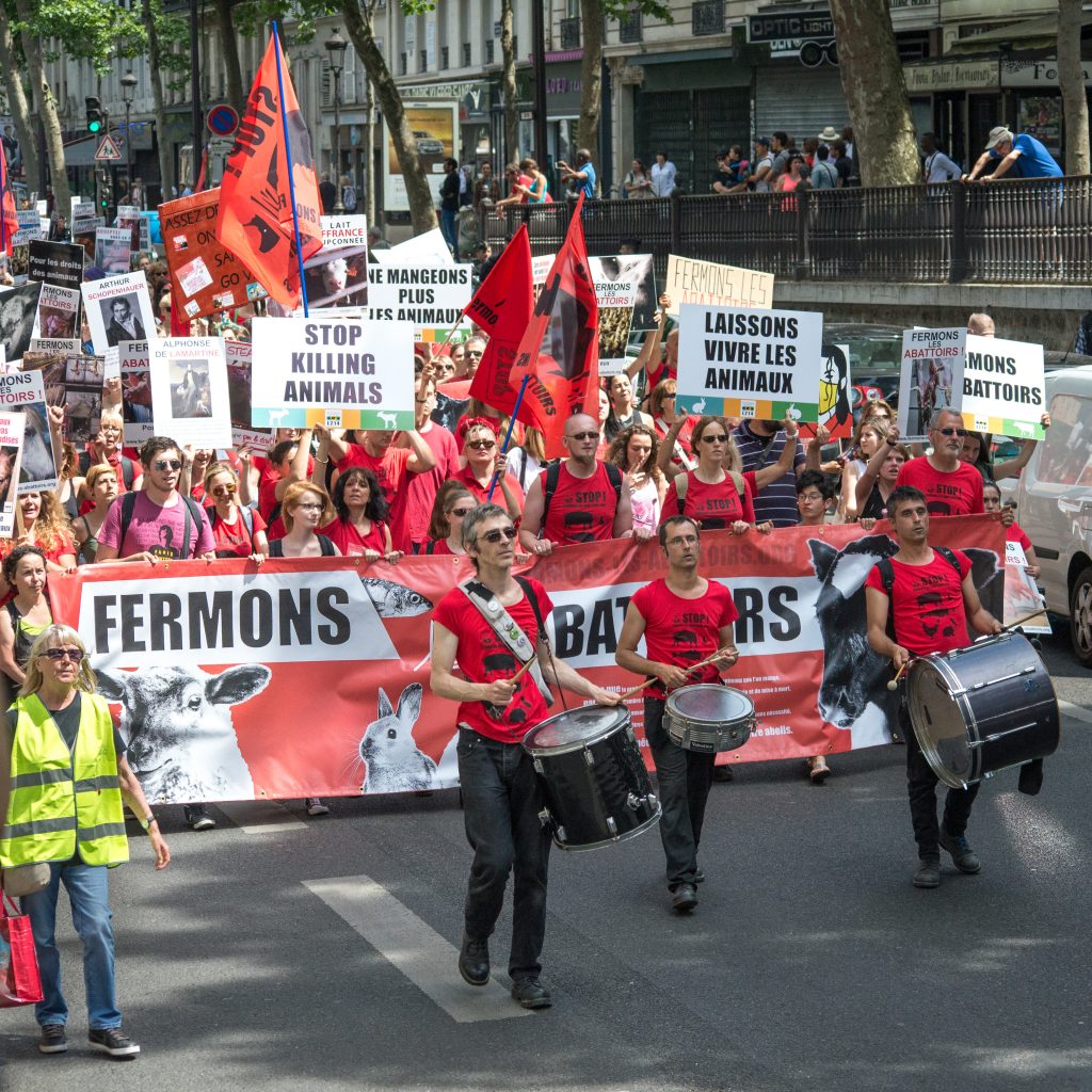 demande protection juridique