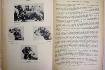 la responsabilité civile définition